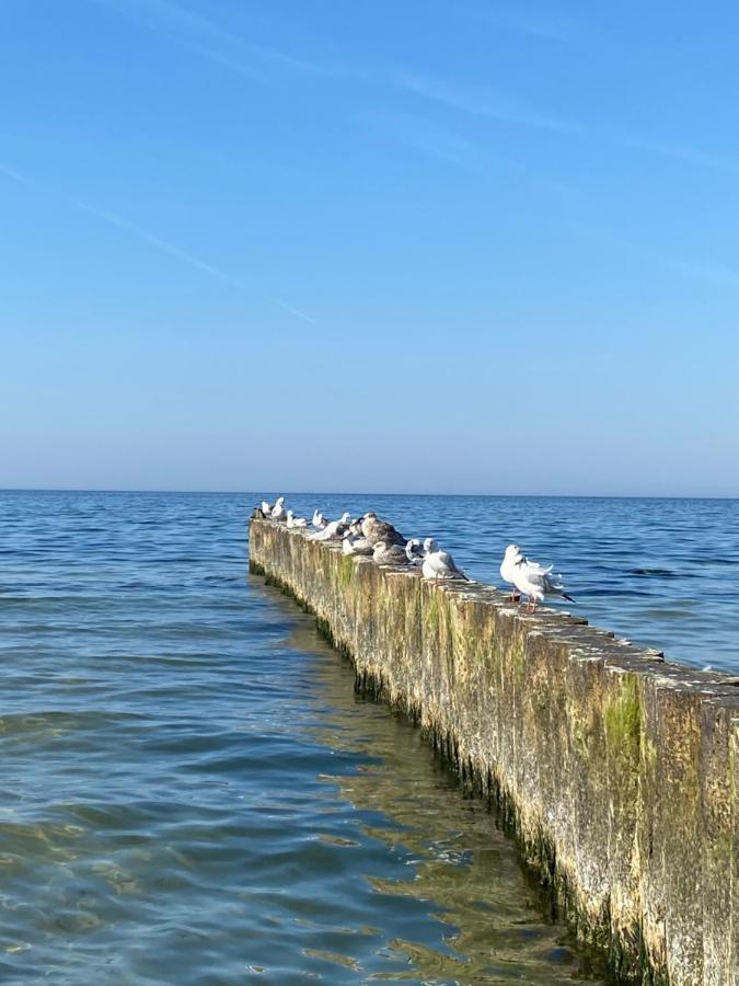 Apartament Kolobrzeg Resort Exteriör bild